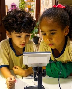 Menino e menina olhando um cristal no microscópio digital